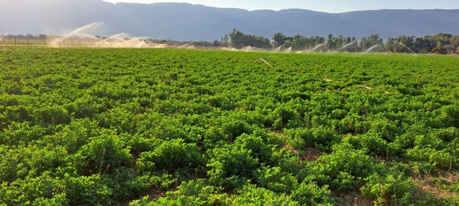 6 Bedroom Property for Sale in Remhoogte AH North West